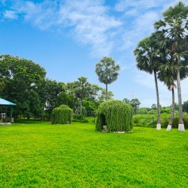 Glass-house-and-green-field